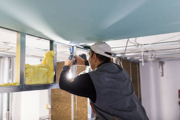 Professional Insulation Contractor in Adairsville, GA
