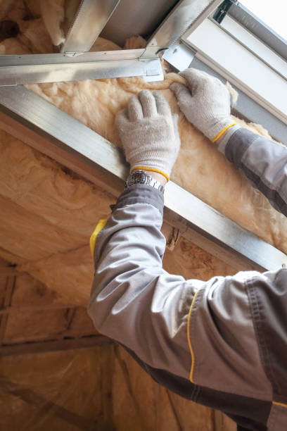 Best Cellulose Insulation in Adairsville, GA